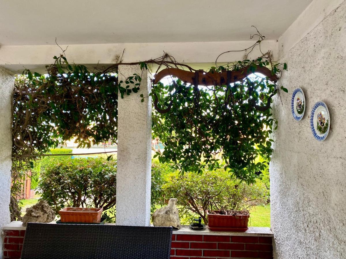 Apartmán Residenza Palmira Bardolino Calmasino Exteriér fotografie