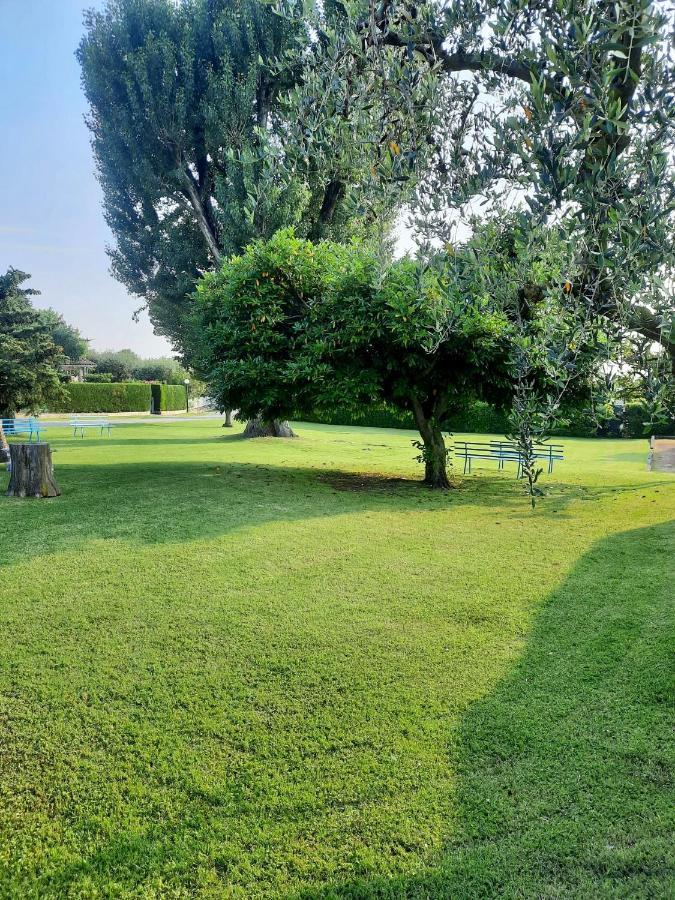 Apartmán Residenza Palmira Bardolino Calmasino Exteriér fotografie