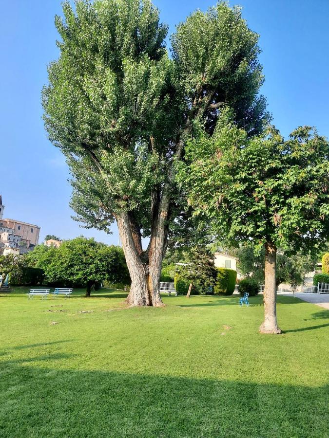 Apartmán Residenza Palmira Bardolino Calmasino Exteriér fotografie